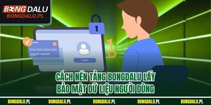 Cách nền tảng BONGDALU lấy, bảo mật dữ liệu người dùng