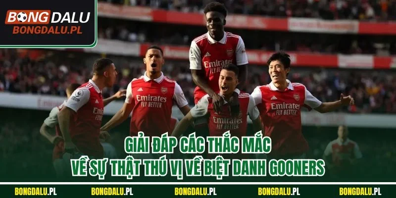 Giải đáp các thắc mắc về sự thật thú vị về biệt danh Gooners