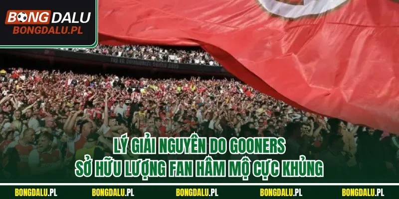 Lý giải nguyên do Gooners sở hữu lượng fan hâm mộ cực khủng