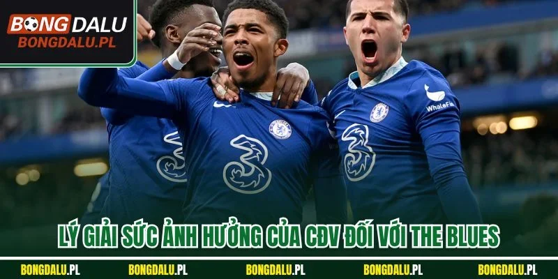 Lý giải sức ảnh hưởng của CĐV đối với The Blues
