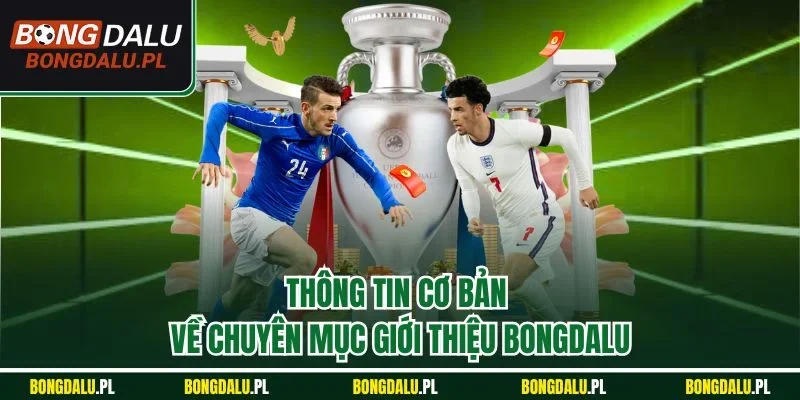 Thông tin cơ bản về chuyên mục giới thiệu BONGDALU