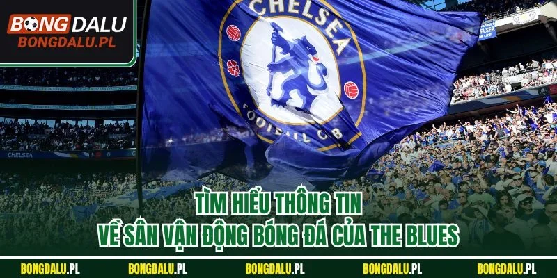 Tìm hiểu thông tin về sân vận động bóng đá của The Blues